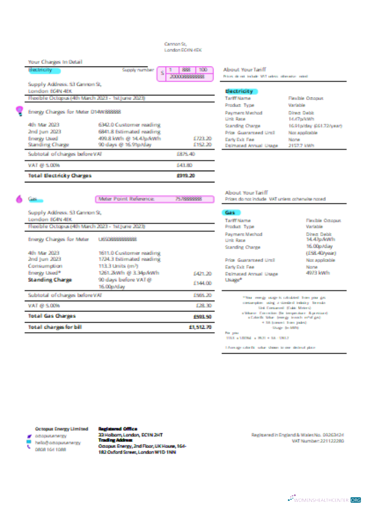 Download Octopus Energy utility business bill SCR page 2 Photoshop template